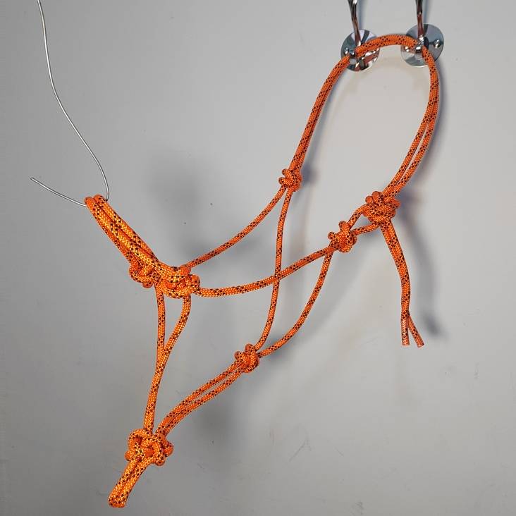 Orange M (shoulder 145-155cm)